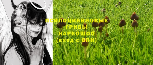 бошки Абаза