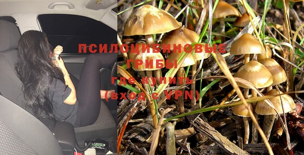 бошки Абаза