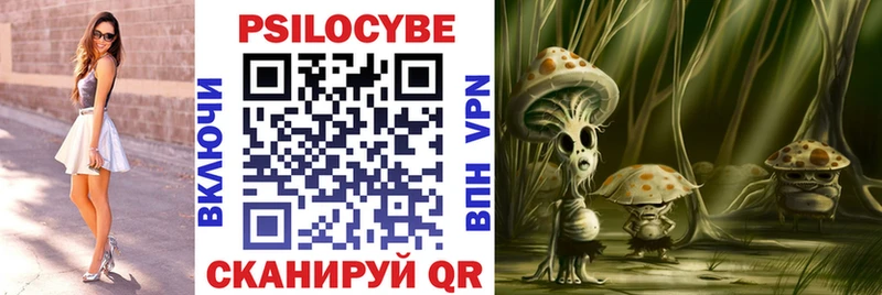 Псилоцибиновые грибы Magic Shrooms  сколько стоит  Каменногорск 