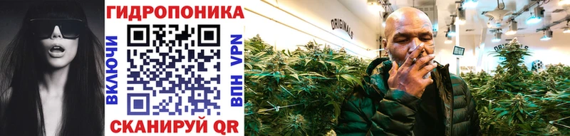 Бошки марихуана Ganja  где найти   Каменногорск 